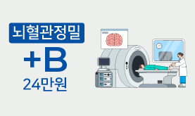 뇌혈관정밀 +B