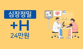 심장정밀 +H