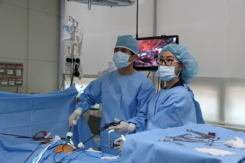 Scarless Surgery