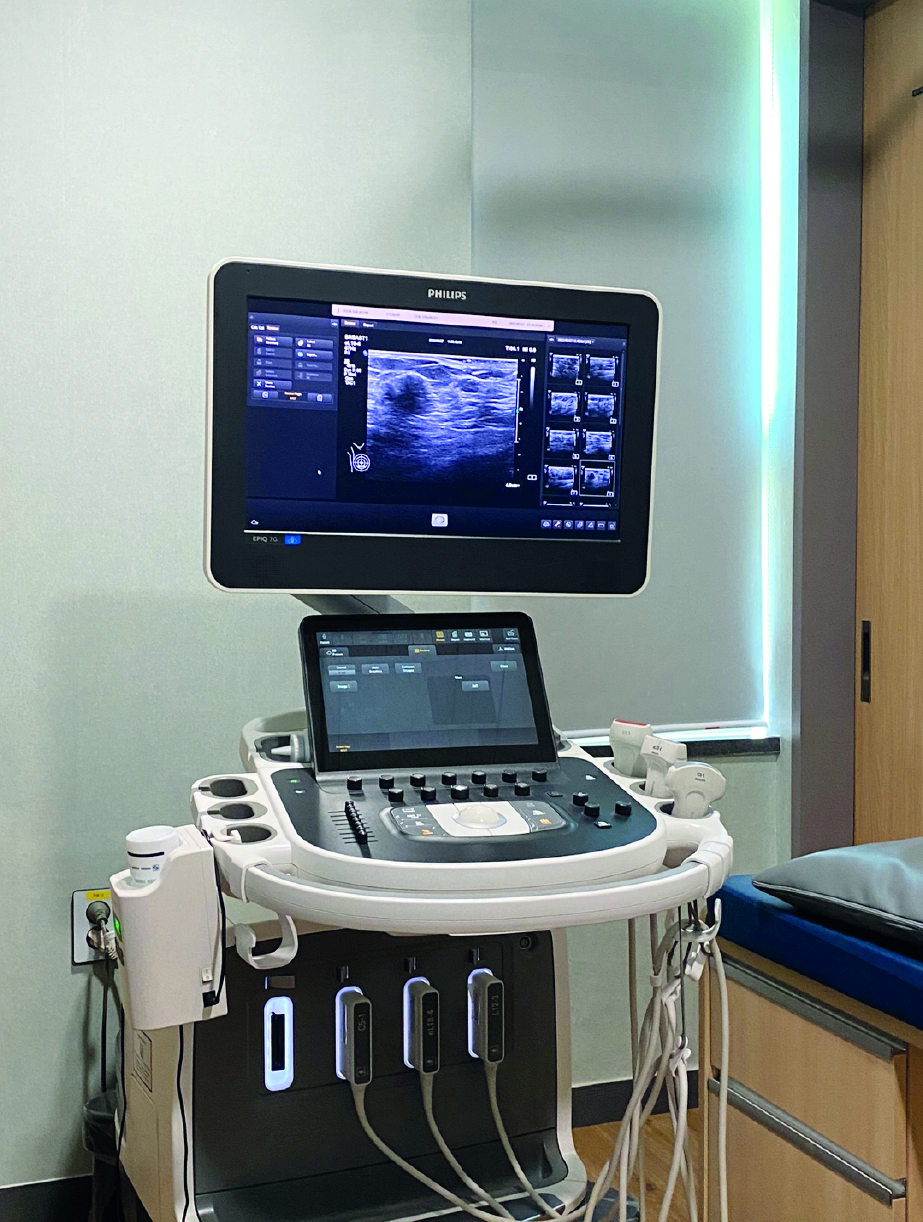 GE LOGIQ E10 초음파